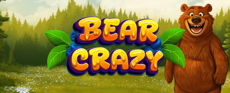 Bear Crazy 